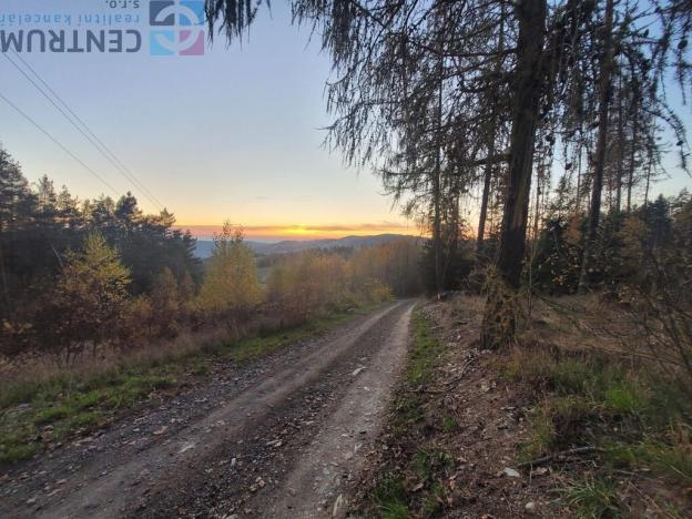 Prodej louky, Železný Brod - Bzí, 6834 m2