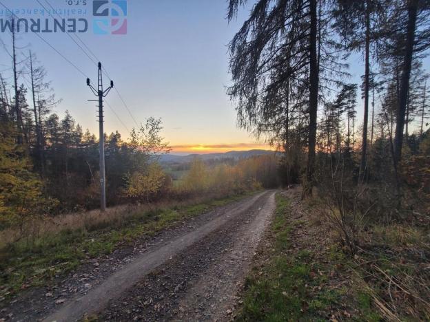 Prodej louky, Železný Brod - Bzí, 6834 m2