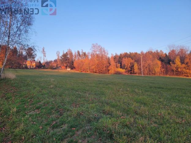 Prodej louky, Železný Brod - Bzí, 6834 m2