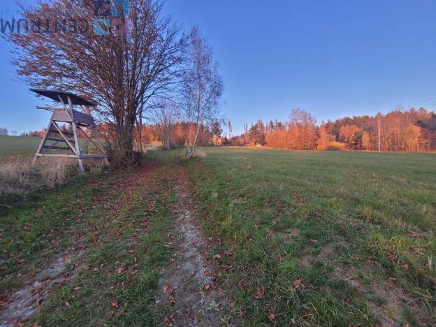 Prodej louky, Železný Brod - Bzí, 6834 m2