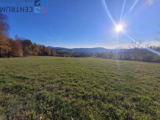 Prodej louky, Železný Brod - Bzí, 6834 m2