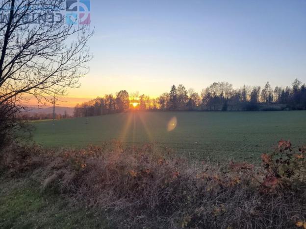 Prodej louky, Železný Brod - Bzí, 6834 m2