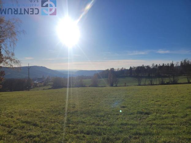 Prodej louky, Železný Brod - Bzí, 6834 m2