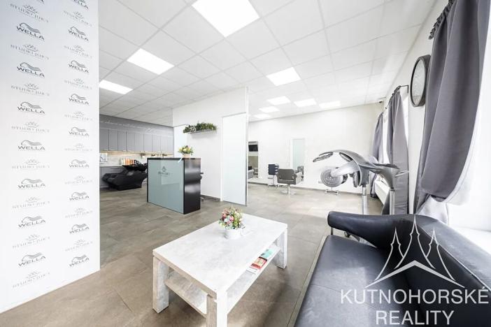 Prodej rodinného domu, Kutná Hora, Zvěřinova, 317 m2