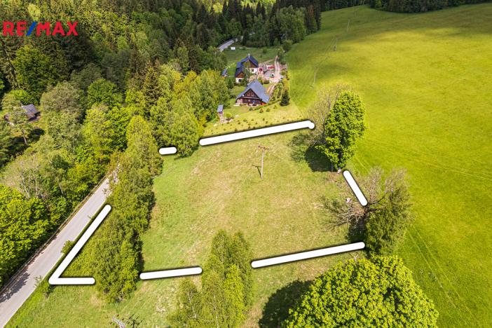 Prodej pozemku pro bydlení, Říčky v Orlických horách, 3863 m2