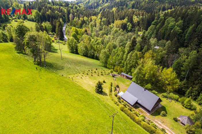 Prodej pozemku pro bydlení, Říčky v Orlických horách, 3863 m2