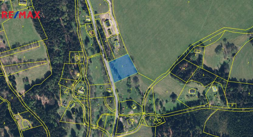 Prodej pozemku pro bydlení, Říčky v Orlických horách, 3863 m2