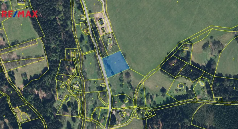 Prodej pozemku pro bydlení, Říčky v Orlických horách, 3863 m2