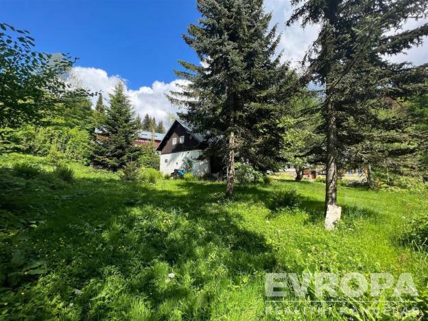 Prodej - jiné, Desná - Desná III, Mlýnská, 200 m2