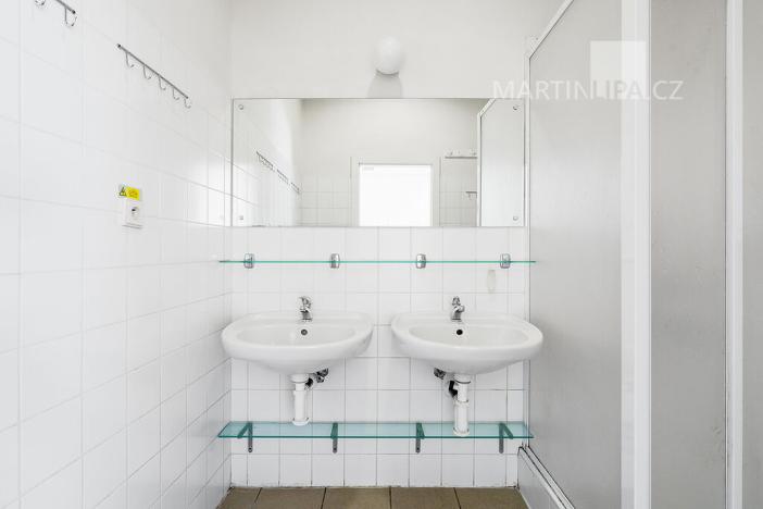 Prodej obchodního prostoru, Praha - Motol, Brdlíkova, 100 m2