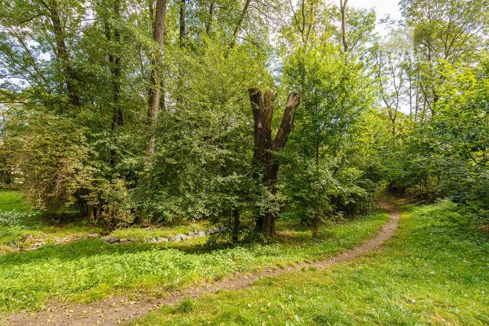 Prodej obchodního prostoru, Praha - Motol, Brdlíkova, 100 m2