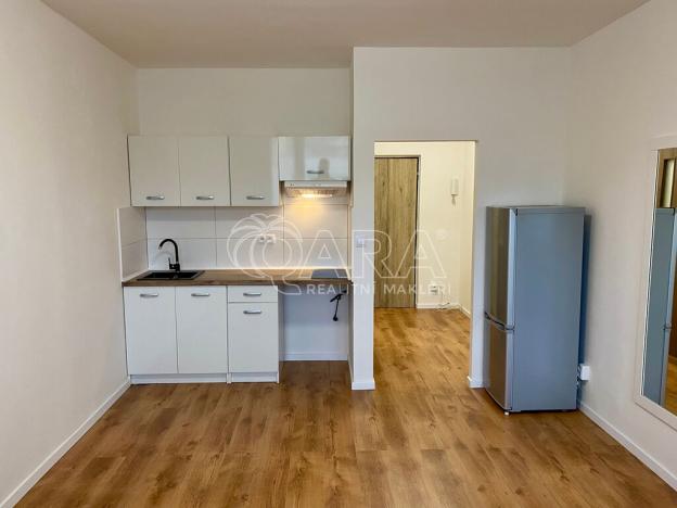 Pronájem bytu 1+kk, Praha - Braník, Nad lesním divadlem, 25 m2