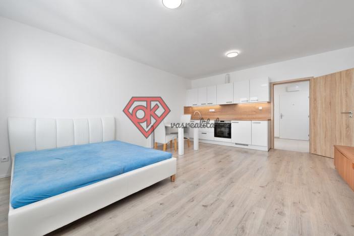 Prodej bytu 1+kk, Svitavy - Předměstí, Říční, 2830 m2