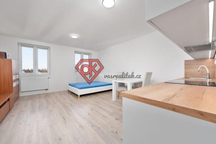 Prodej bytu 1+kk, Svitavy - Předměstí, Říční, 2830 m2