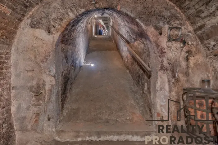 Prodej vinného sklepa, Strachotice, 450 m2