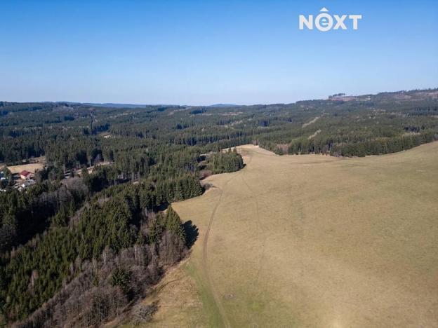 Prodej chalupy, Nepomuk, 202 m2