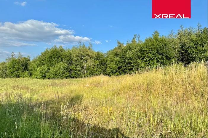 Prodej komerčního pozemku, Strančice, 7647 m2