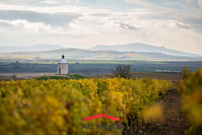 Prodej chalupy, Strachotín, Šakvická, 131 m2