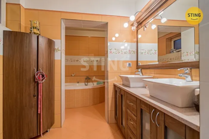 Prodej rodinného domu, Samotišky, Fromkova, 438 m2