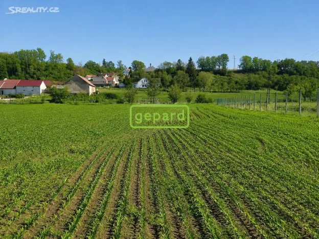 Prodej pozemku pro bydlení, Sedlec, 6937 m2