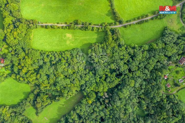 Prodej lesa, Homole u Panny - Suletice, 22174 m2