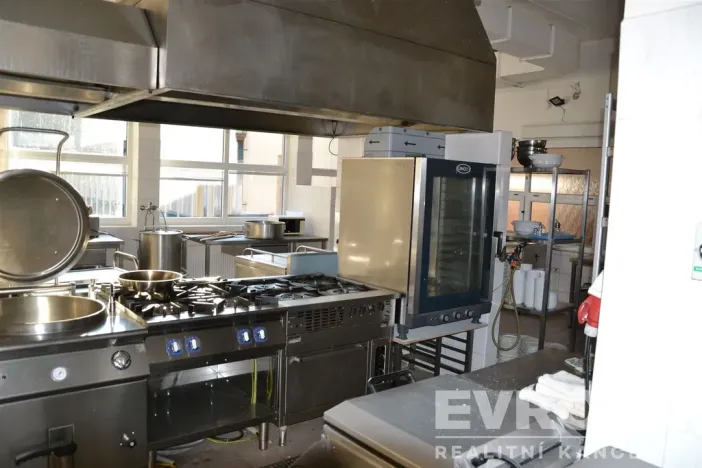 Prodej ubytování, Žihle - Nový Dvůr, Nový Dvůr, 8175 m2