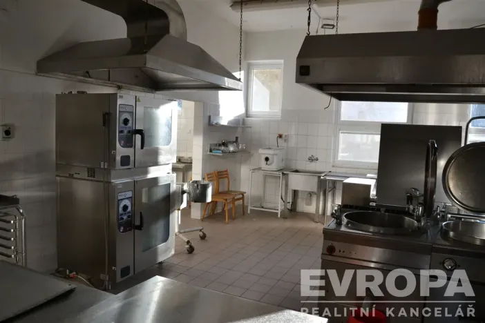 Prodej ubytování, Žihle - Nový Dvůr, Nový Dvůr, 8175 m2