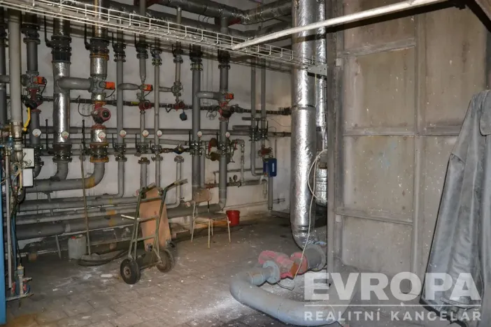 Prodej ubytování, Žihle - Nový Dvůr, Nový Dvůr, 8175 m2