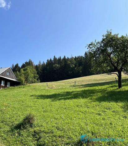 Prodej lesa, Krásná, 21810 m2