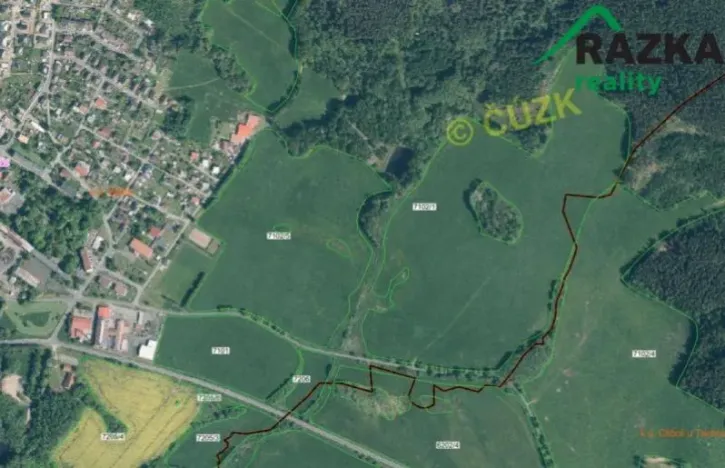 Prodej pole, Halže, 192062 m2