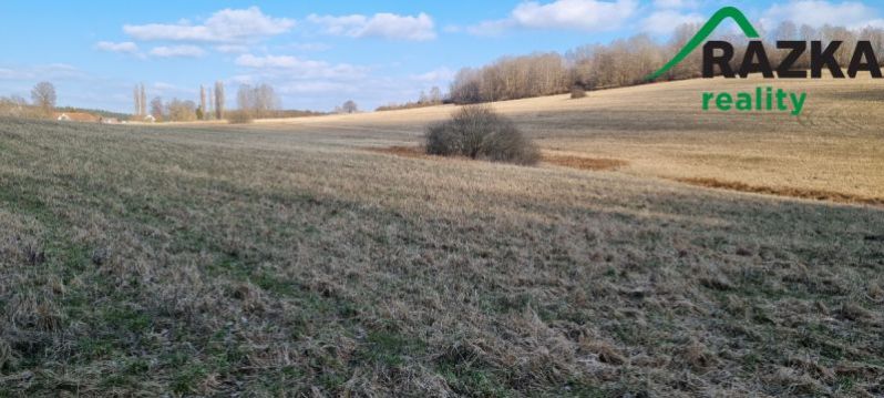 Prodej pole, Halže - Svobodka, 642424 m2