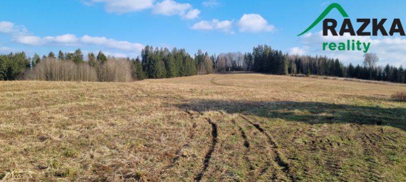 Prodej pole, Halže - Svobodka, 141968 m2