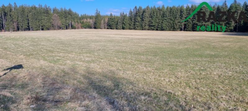 Prodej pole, Chodský Újezd - Žďár, 37459 m2