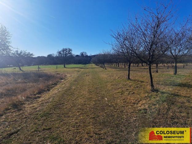 Prodej pole, Štěchov, 4979 m2