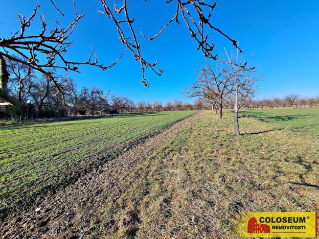 Prodej pole, Štěchov, 4979 m2