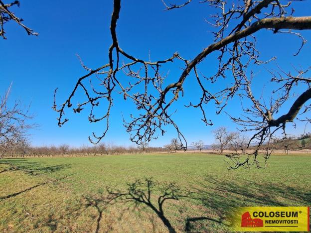 Prodej pole, Štěchov, 4979 m2