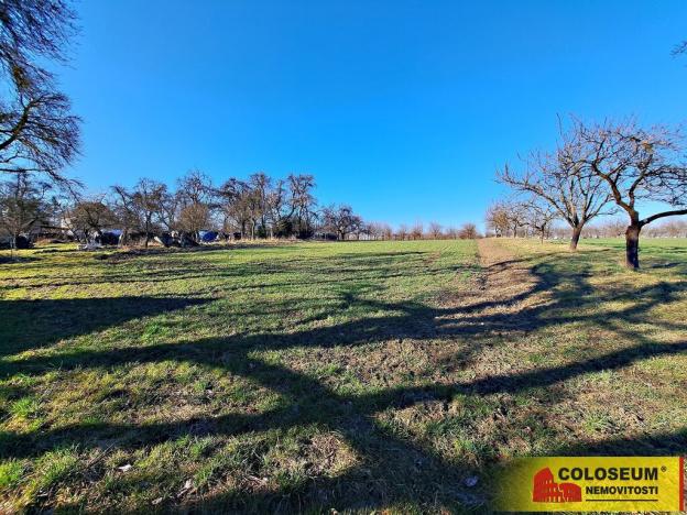 Prodej pole, Štěchov, 4979 m2