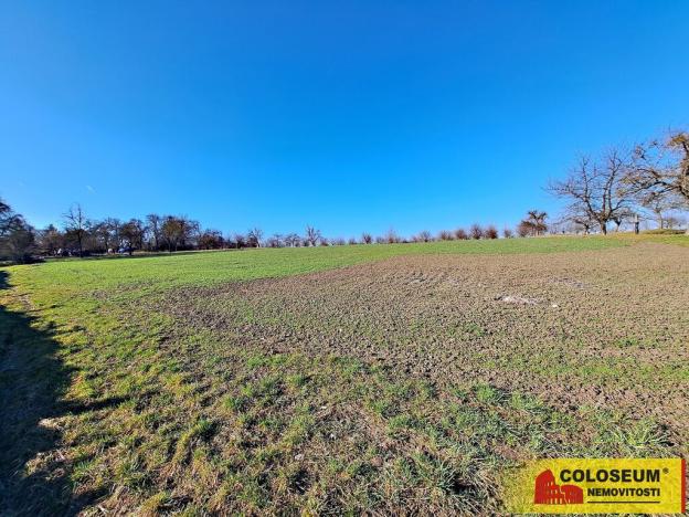 Prodej pole, Štěchov, 4979 m2