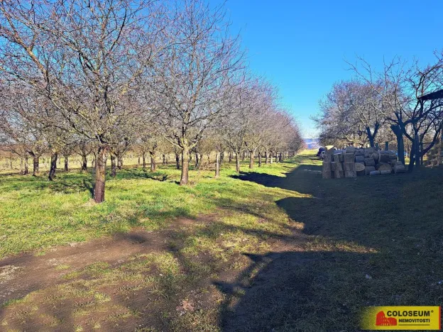 Prodej pole, Štěchov, 4979 m2