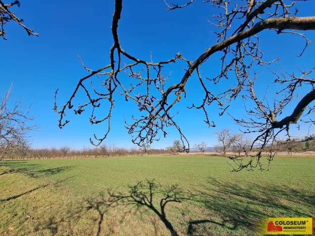Prodej pole, Štěchov, 4979 m2