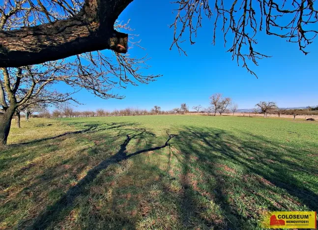 Prodej pole, Štěchov, 4979 m2