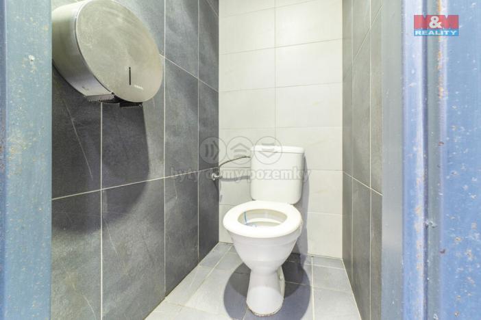 Pronájem restaurace, Plzeň - Vnitřní Město, Rooseveltova, 370 m2