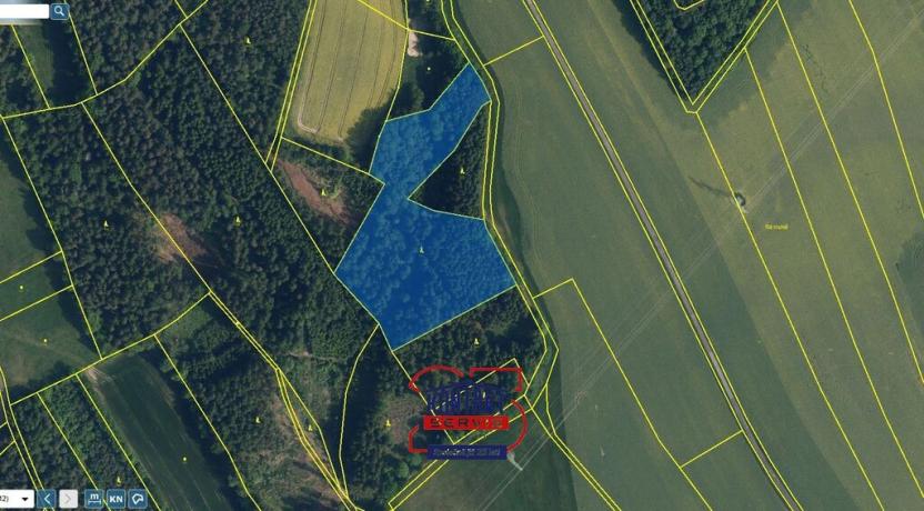 Prodej lesa, Sychrov - Radostín, 30767 m2