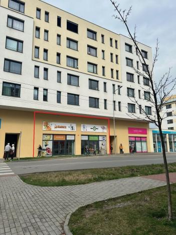 Pronájem obchodního prostoru, České Budějovice - České Budějovice 2, České Vrbné, 175 m2