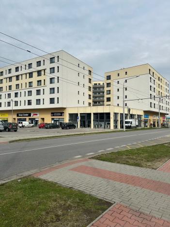 Pronájem obchodního prostoru, České Budějovice - České Budějovice 2, České Vrbné, 175 m2