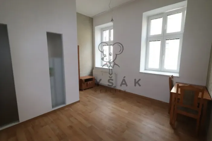 Pronájem bytu 2+kk, České Budějovice - České Budějovice 3, Riegrova, 54 m2