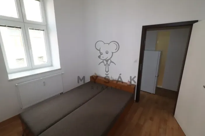 Pronájem bytu 2+kk, České Budějovice - České Budějovice 3, Riegrova, 54 m2