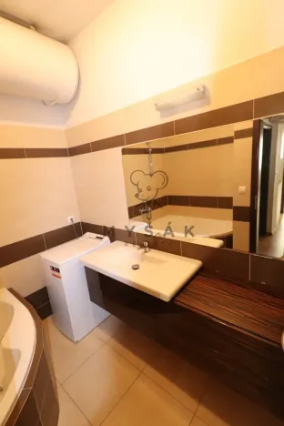 Pronájem bytu 2+kk, České Budějovice - České Budějovice 3, Riegrova, 54 m2