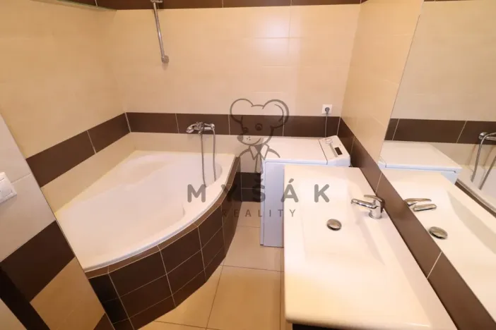 Pronájem bytu 2+kk, České Budějovice - České Budějovice 3, Riegrova, 54 m2