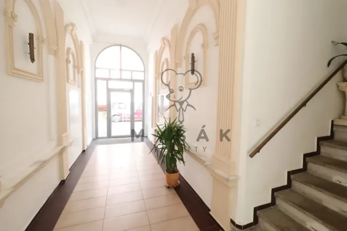 Pronájem bytu 2+kk, České Budějovice - České Budějovice 3, Riegrova, 54 m2